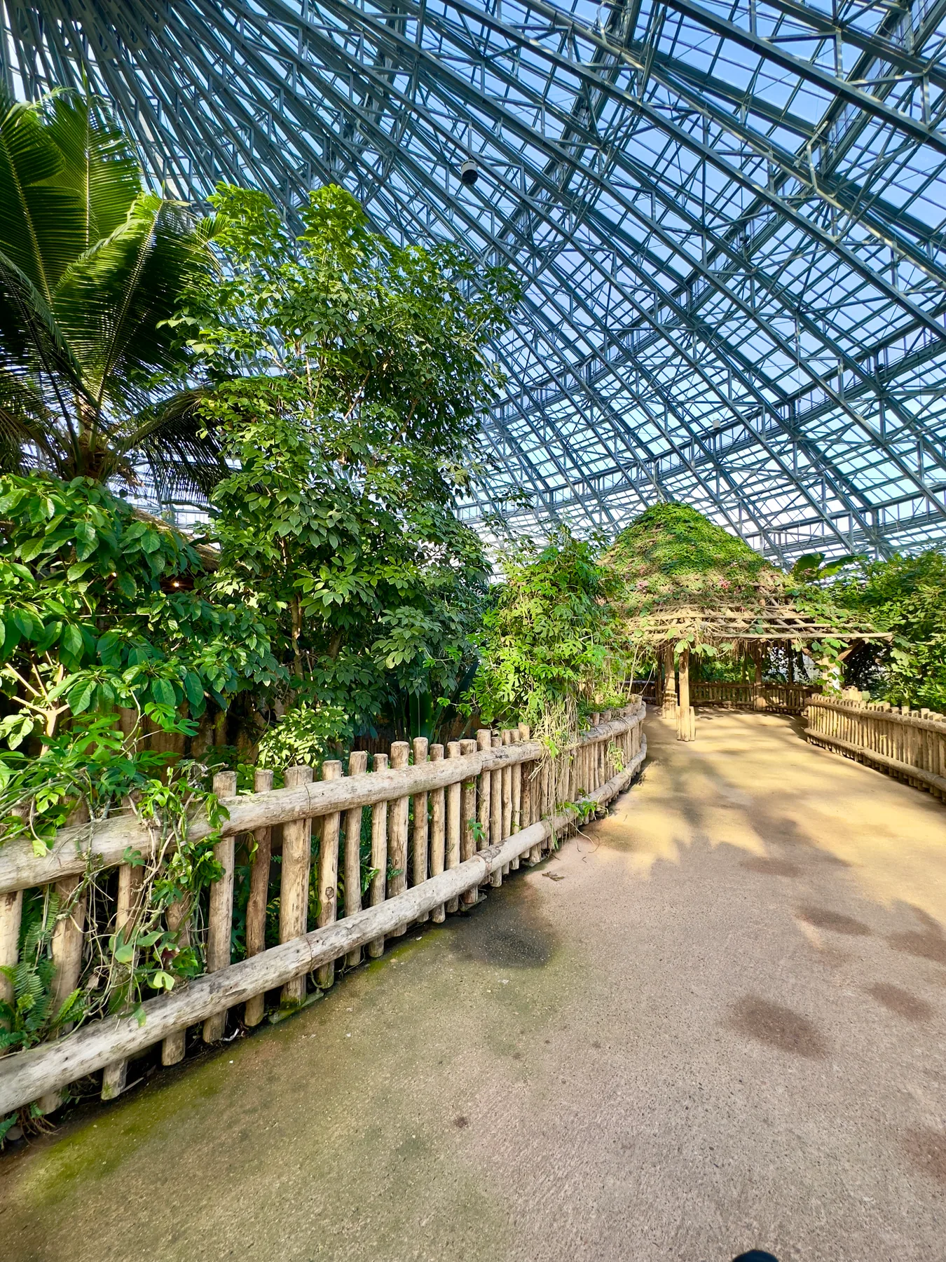 Allée de la serre tropicale du Zoo de Beauval