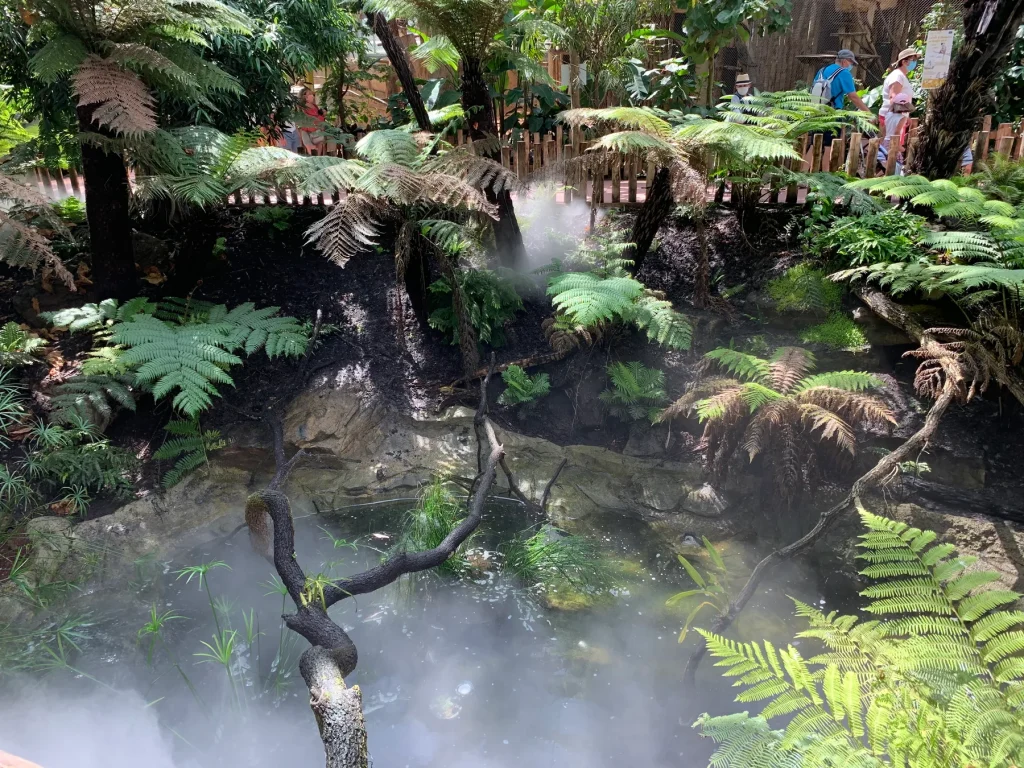 Fougères dans la brume de la serre tropicale de Beauval