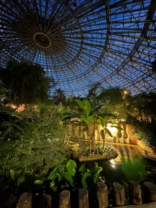 Serre tropicale illuminée la nuit au Zoo de Beauval