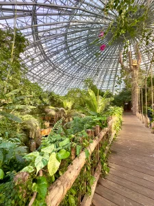 Passerelle en bois dans la serre tropicale de Beauval